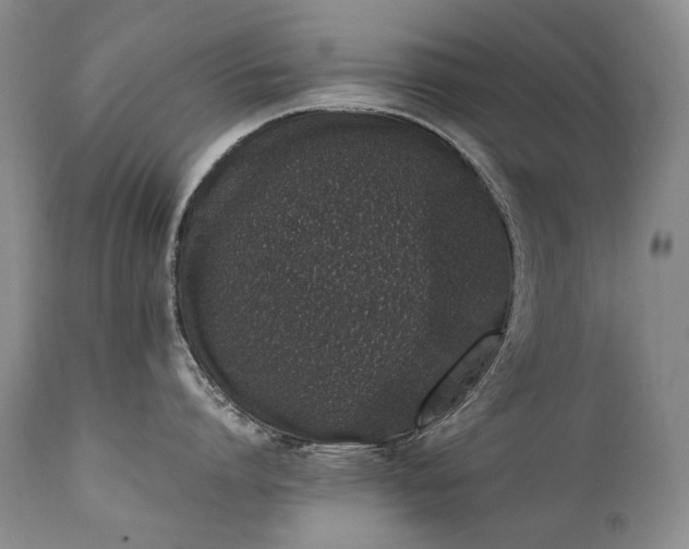 X0000111450864200907131327