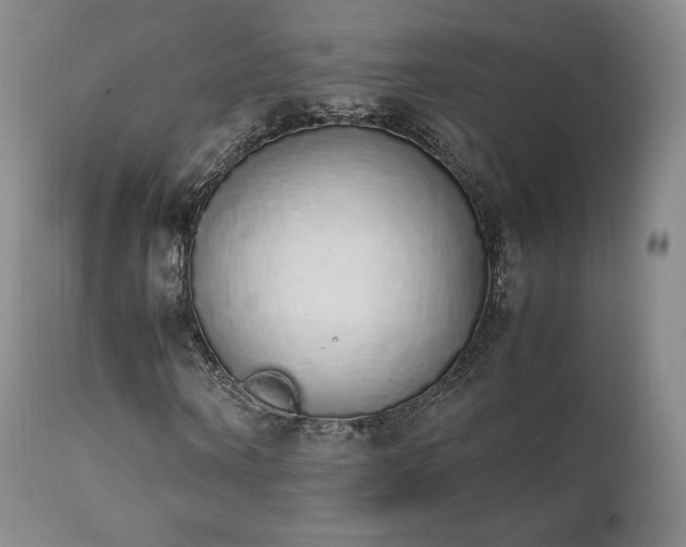 X0000111450866200907131327