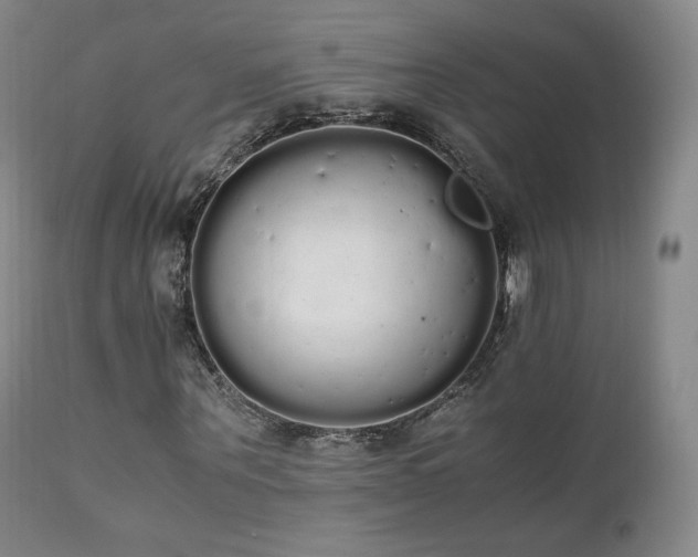 X0000111450867200907131327