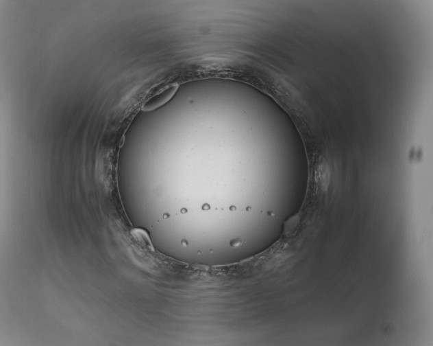 X0000111450868200907131327