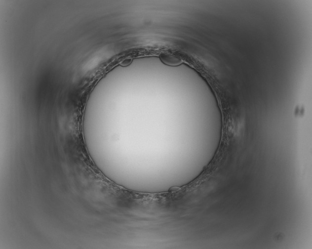 X0000111450869200907131327
