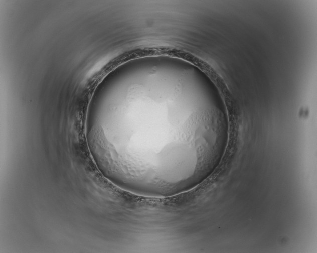 X0000111450871200907131327