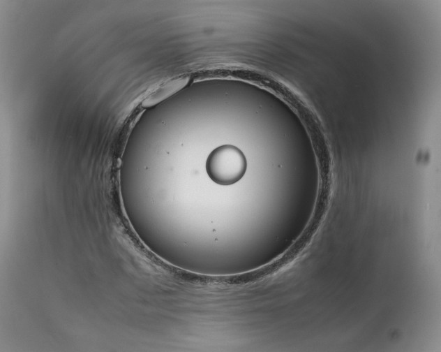 X0000111450873200907131327