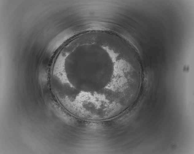 X0000111450874200907131327