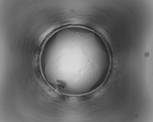 X0000111450875200907131327