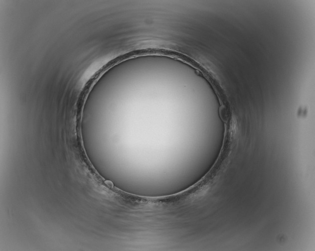 X0000111450877200907131326