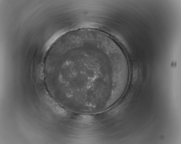 X0000111450878200907131326