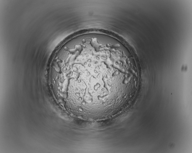 X0000111450879200907131326