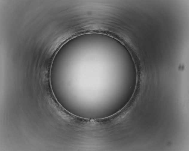 X0000111450881200907131326
