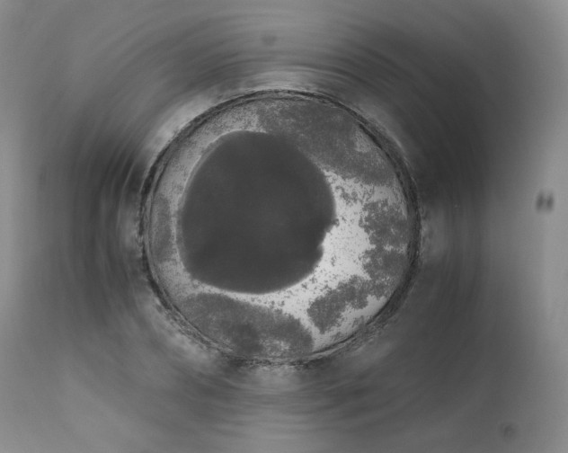 X0000111450882200907131326