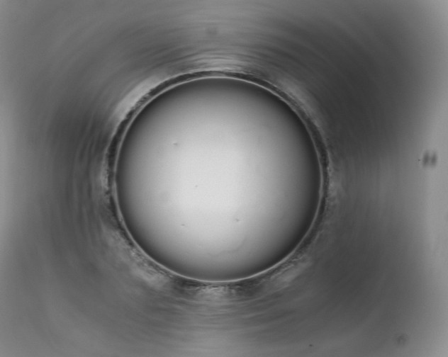 X0000111450883200907131326