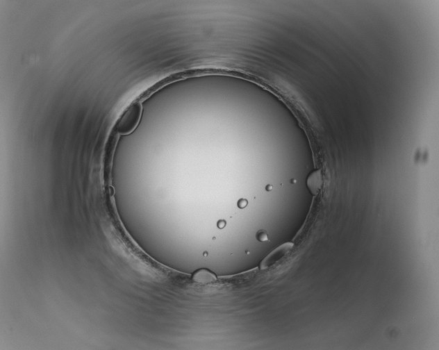 X0000111450884200907131326