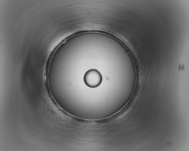X0000111450885200907131326
