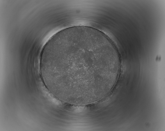 X0000111450886200907131326
