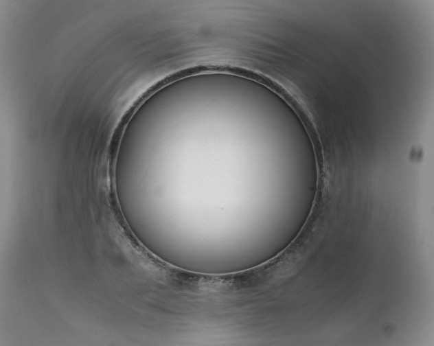 X0000111450887200907131326