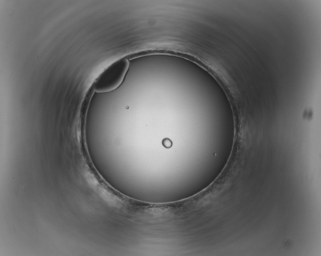 X0000111450888200907131326