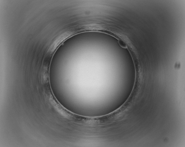 X0000111450889200907131326