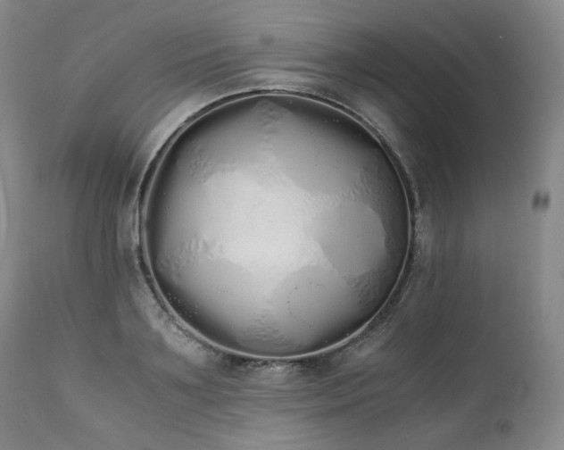X0000111450891200907131326