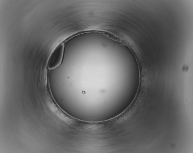 X0000111450892200907131326