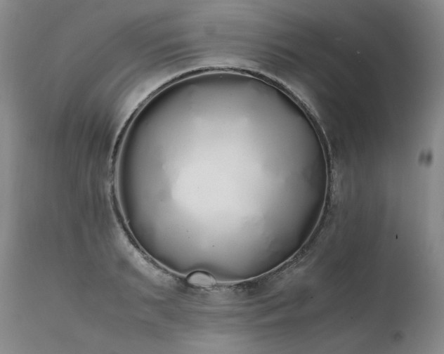 X0000111450895200907131326