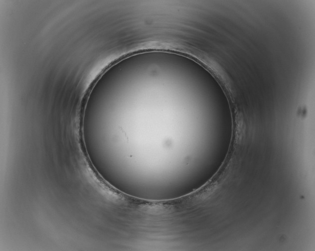 X0000111450896200907131326