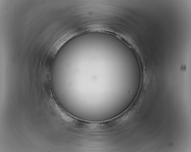 X0000111450897200907131326