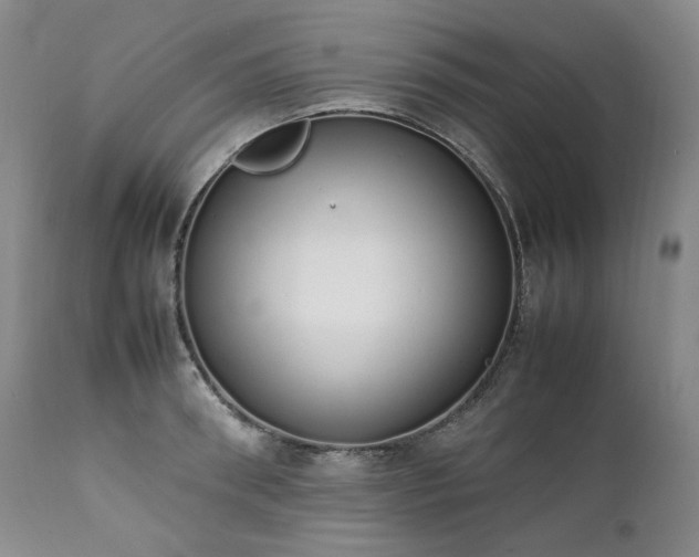X0000111450898200907131326