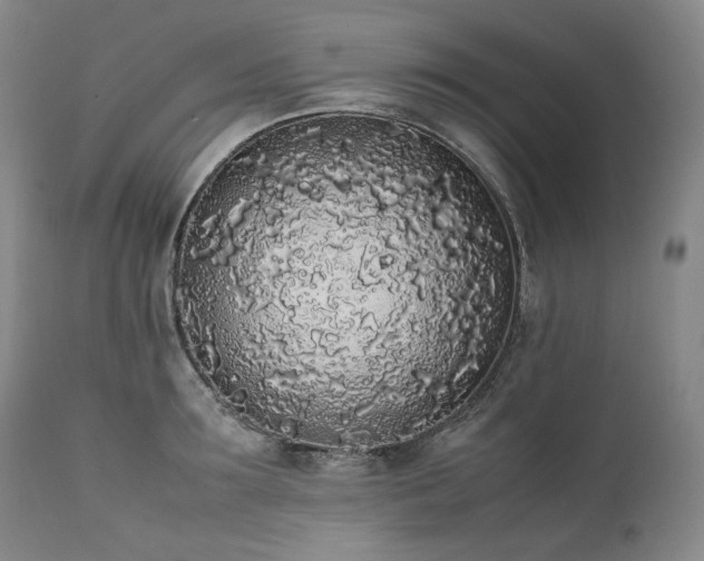 X0000111450899200907131326