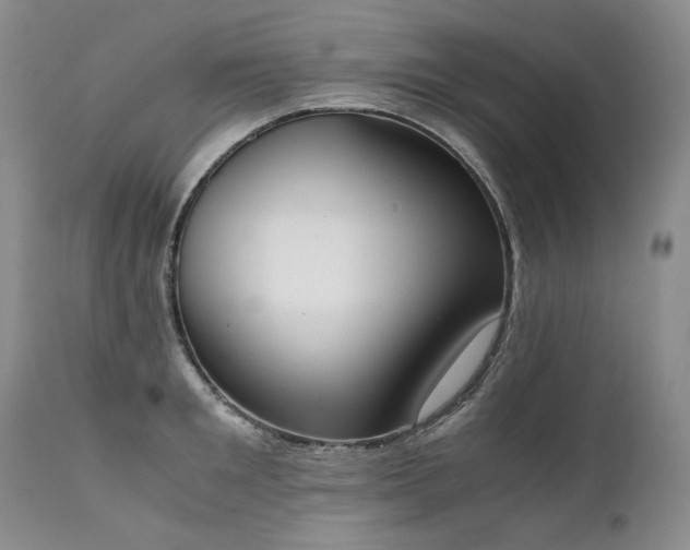 X0000111450901200907131326