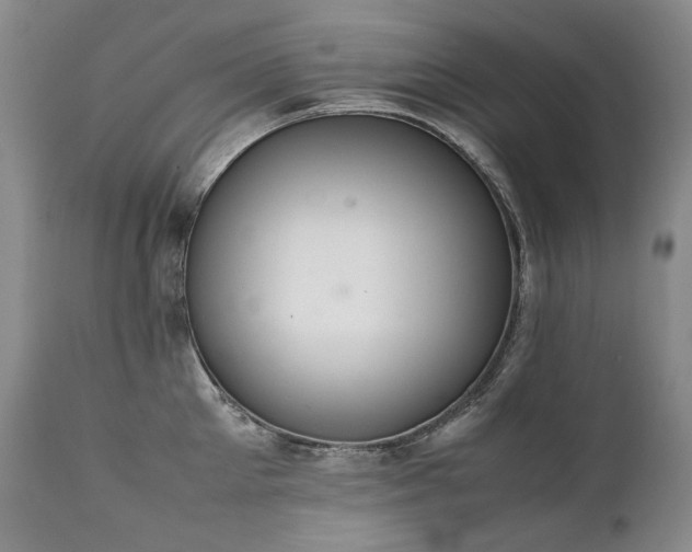 X0000111450905200907131326
