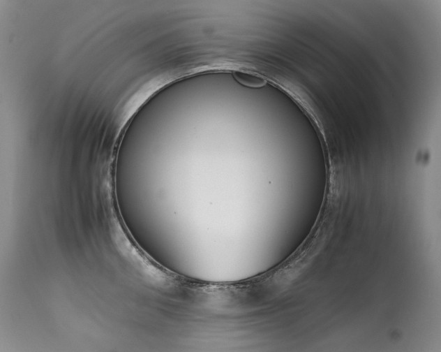 X0000111450906200907131326