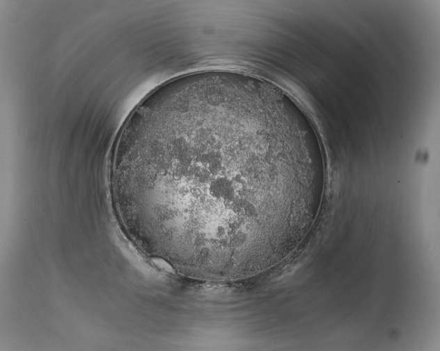 X0000111450907200907131326