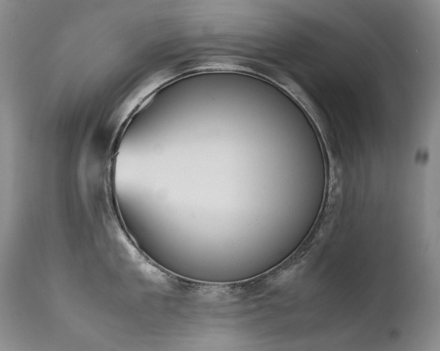 X0000111450909200907131326