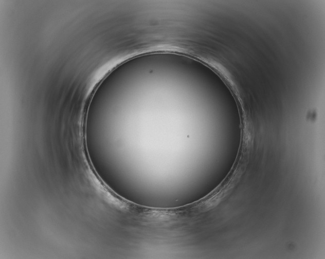 X0000111450910200907131326
