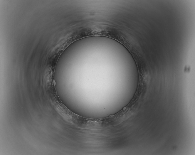 X0000111450914200907131325