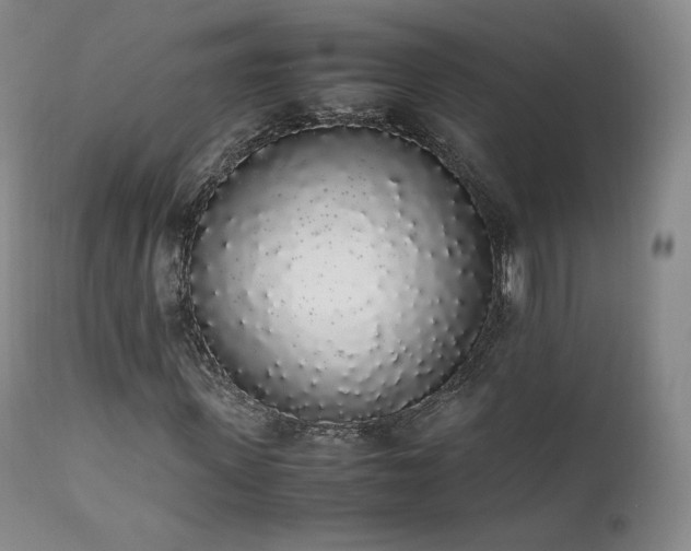 X0000111450915200907131325
