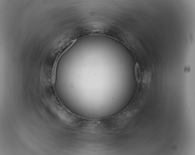 X0000111450916200907131325