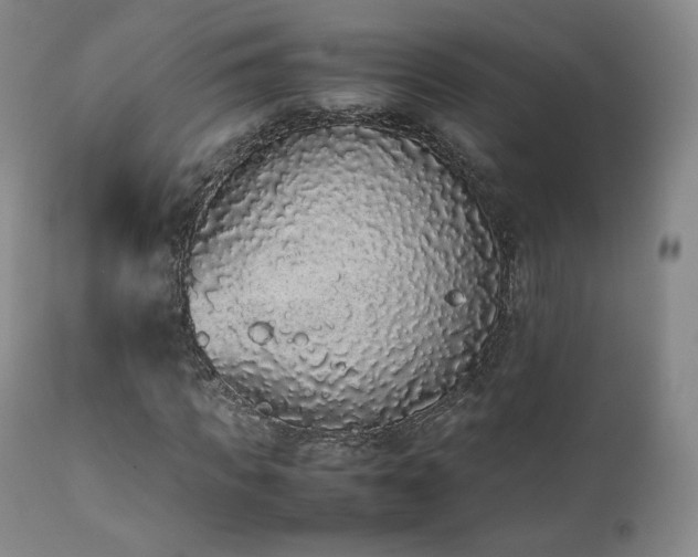 X0000111450917200907131325