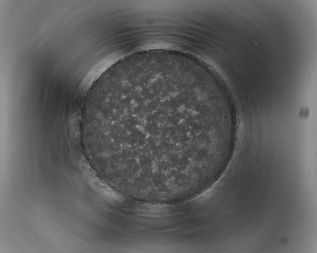 X0000111450921200907131325
