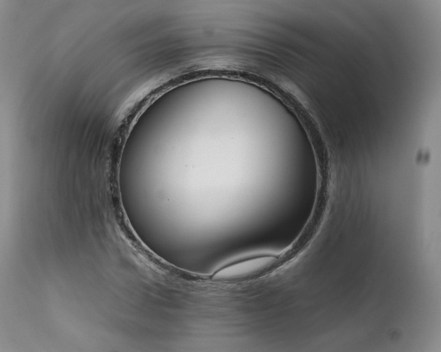 X0000111450922200907131325