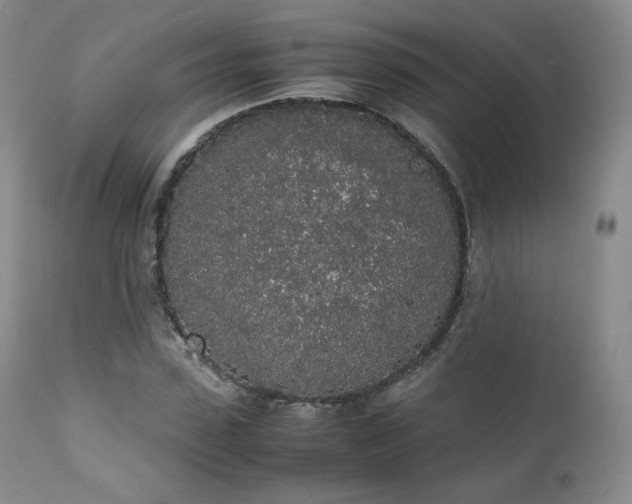 X0000111450923200907131325