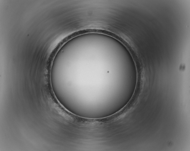 X0000111450926200907131326