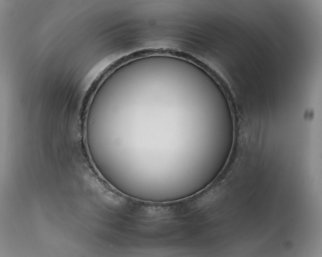 X0000111450927200907131326