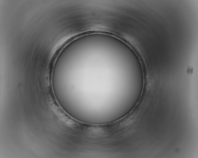 X0000111450931200907131326