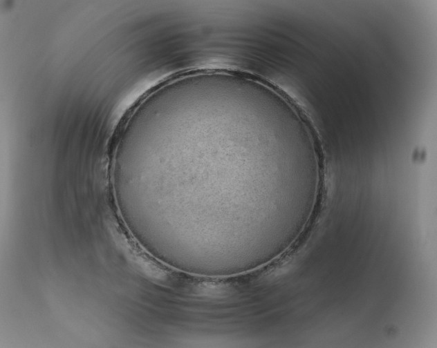 X0000111450933200907131326
