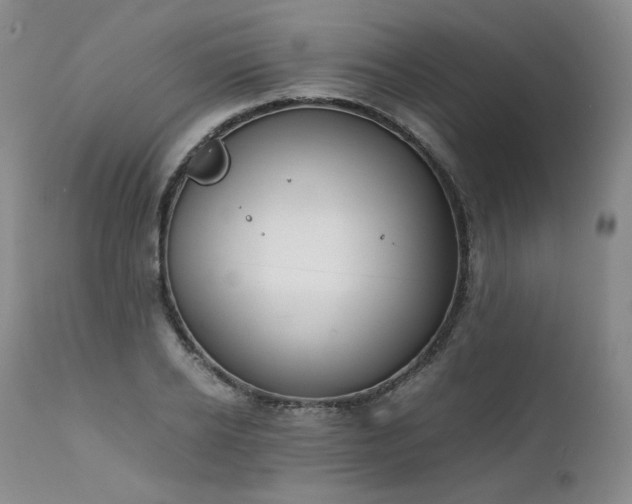 X0000111450934200907131326