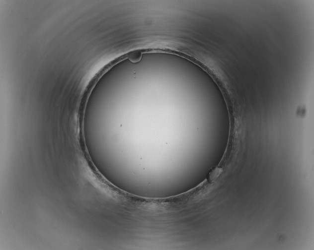 X0000111450936200907131326