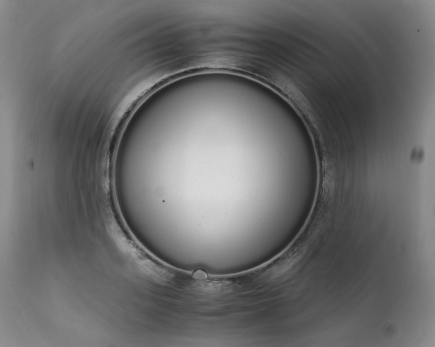 X0000111450939200907131326