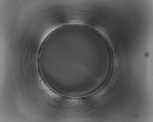 X0000111450941200907131326