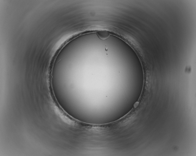 X0000111450942200907131326